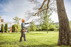 Best Landscape Design and Installation  in Marlin, TX