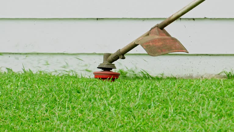 Best Leaf Removal  in Marlin, TX