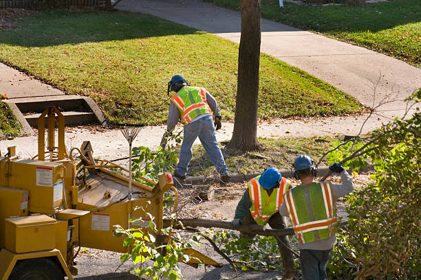 Best Lawn Drainage Solutions  in Marlin, TX