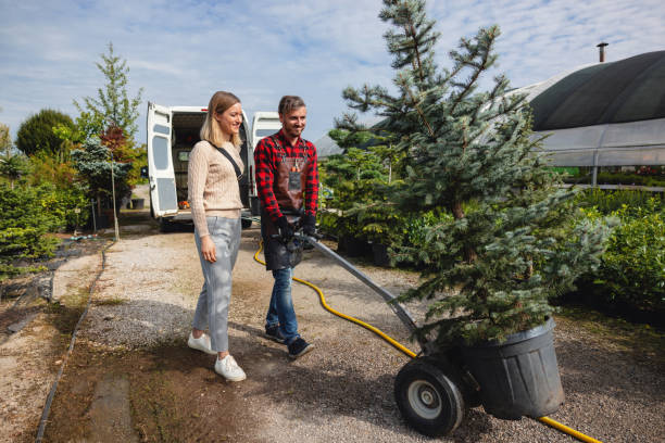 Best Lawn Watering Services  in Marlin, TX